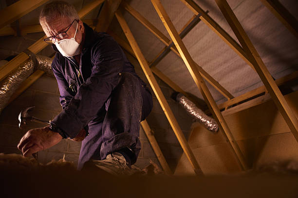 Best Types of Insulation in Tracyton, WA